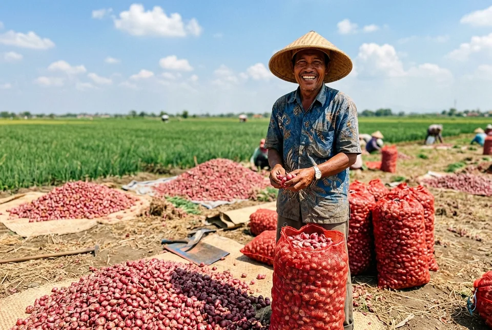 Tumpukan panen umbi bawang merah super merah menyala dalam karung jaring