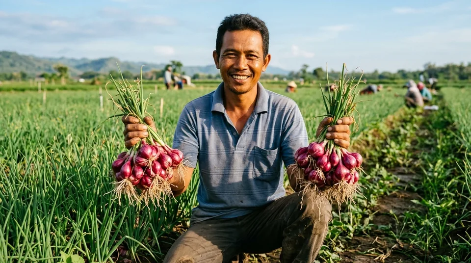 Dokumentasi Mas Andik menyemprot bawang merah sejak 10 HST bebas moler dan panen umbi besar