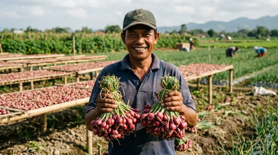 Dokumentasi panen bawang merah Pak Taryono rekor 12 ton di Brebes